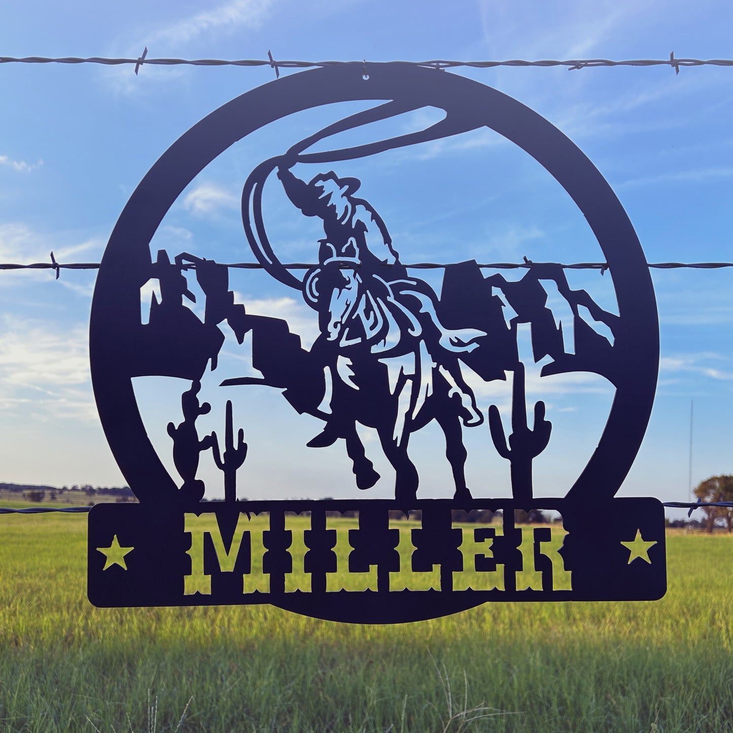 Western Roping Cowboy