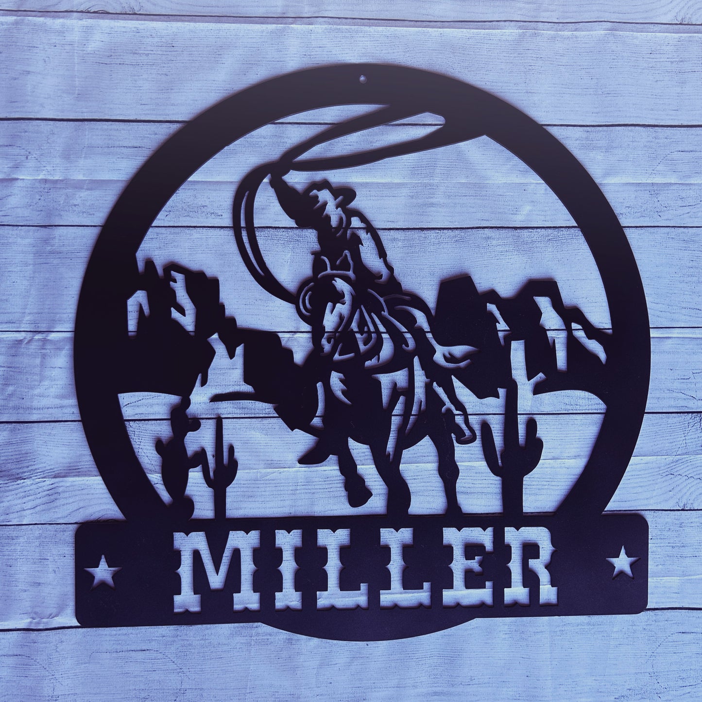 Western Roping Cowboy
