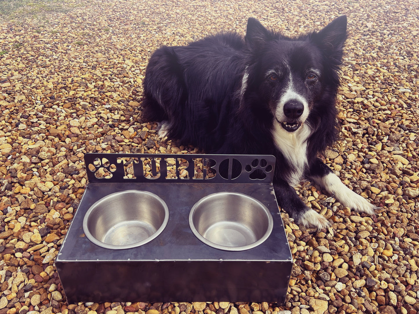 Dog Bowl Stand